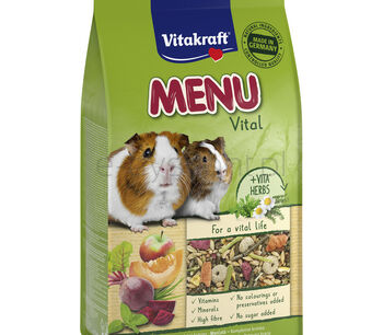 Inne zwierzęta