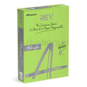 Rey Adagio Papier ksero A4, 80gsm, 16 zielony INTENSE *RYADA080X402 R100, 500 ark.