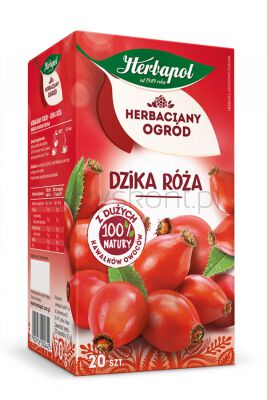 Herbapol Herbaciany Ogród herbatka owocowa dzika róża 20Torebek/70g