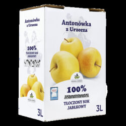 Dolina Czerska Sok Nfc Jabłkowy Antonówka 100%  3L