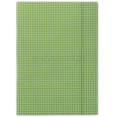 Donau Teczka Z Gumką Karton, A4, 400Gsm, 3-Skrz., Zielona W Kratę 