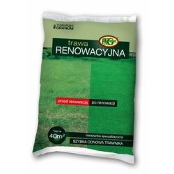 Trawa jak Malowana Mieszanka Renowacyjna 1 kg FNGranum