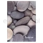 Brulion Office Products, Nature, A4, W Kratkę, 96 Kart., Mix - 4