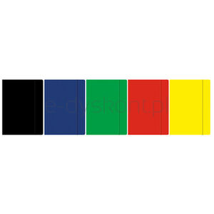 Rexus Teczka z gumką A4 kolor mix 10 szt Beniamin