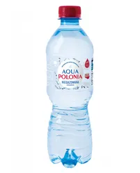 Woda Mineralna Aqua Polonia, Niegazowana, 0,5L
