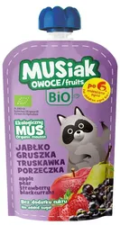 Mus owocowy jabłko gruszka truskawka czarna porzeczka BIO 120g