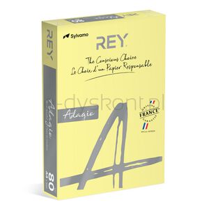 Rey Adagio Papier ksero A4, 80gsm, 49 żółty kanarkowy pastel *RYADA080X423 R200, 500 ark.