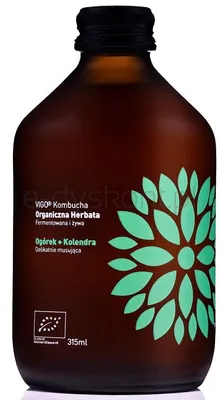 Kombucha Ogórek+Kolendra  Bio 330Ml