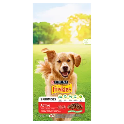 Friskies Active Z Wołowiną 10Kg