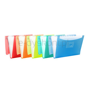 Oxford Teczka harmonijkowa A4 PP