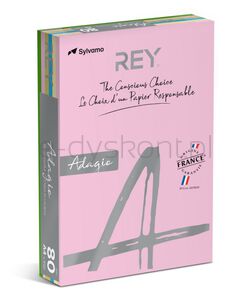 Rey Adagio Papier ksero A4, 80gsm, mix kolorów pastel, *RYADA080X905 R200, 5x100 ark.