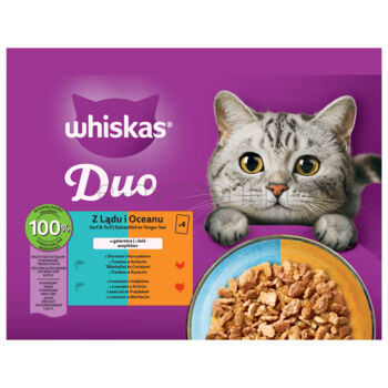 Whiskas Duo Mokra karma w galaretce z dorszem i kurczakiem 4 x 85 g
