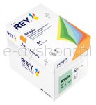 Rey Adagio Papier ksero A4, 160gsm, 09 zielony pastel *RYADA160X478 R100, 250 ark. - 3