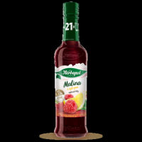 Herbapol Syrop Owocowy O Smaku Malina Z Cytryną Z Witaminą C, D, B6 I Cynk, 420Ml